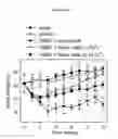 Fig. 06 - CELL POPULATIONS HAVING IMMUNOREGULATORY ACTIVITY, METHOD FOR ISOLATION AND USES