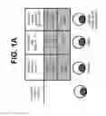 Fig. 02 - Differentiation of pluripotent stem cells to intestinal midgut endoderm cells