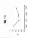 Fig. 03 - Differentiation of pluripotent stem cells to intestinal midgut endoderm cells