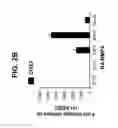 Fig. 06 - Differentiation of pluripotent stem cells to intestinal midgut endoderm cells