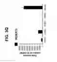 Fig. 20 - Differentiation of pluripotent stem cells to intestinal midgut endoderm cells