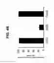 Fig. 22 - Differentiation of pluripotent stem cells to intestinal midgut endoderm cells