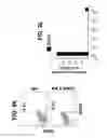 Fig. 32 - Differentiation of pluripotent stem cells to intestinal midgut endoderm cells