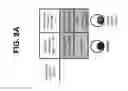 Fig. 41 - Differentiation of pluripotent stem cells to intestinal midgut endoderm cells