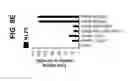 Fig. 45 - Differentiation of pluripotent stem cells to intestinal midgut endoderm cells