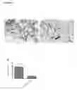 Fig. 37 - METHOD FOR TREATMENT OF DISORDERS OF THE GASTROINTESTINAL SYSTEM