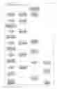Fig. 02 - 331 NEW FOUND PROTEINS IN PEANUT WITH THEIR SEQUENCE AND THE METHOD OF PRODUCING SUPPLEMENT INCLUDING BEVERAGES ON THE BASIS OF JUICE AND POWDER FROM THE PEANUT