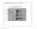 Fig. 08 - 331 NEW FOUND PROTEINS IN PEANUT WITH THEIR SEQUENCE AND THE METHOD OF PRODUCING SUPPLEMENT INCLUDING BEVERAGES ON THE BASIS OF JUICE AND POWDER FROM THE PEANUT