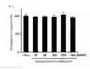 Fig. 06 - Composition including extract of Linne as active ingredient for preventing or ameliorating non-alcoholic fatty liver disease