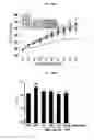 Fig. 08 - Composition including extract of Linne as active ingredient for preventing or ameliorating non-alcoholic fatty liver disease