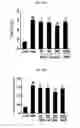 Fig. 09 - Composition including extract of Linne as active ingredient for preventing or ameliorating non-alcoholic fatty liver disease