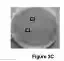 Fig. 09 - Method of treatment