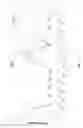 Fig. 06 - PEPTIDES AND COMBINATION OF PEPTIDES FOR USE IN IMMUNOTHERAPY AGAINST NON-SMALL CELL LUNG CANCER AND OTHER CANCERS