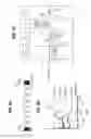 Fig. 08 - Immunogenic proteins and compositions