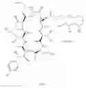Fig. 02 - Caspofungin Acetate Formulations