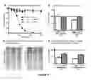 Fig. 09 - Non-ionic and thermoresponsive diblock copolypeptide hydrogels for delivery of molecules and cells
