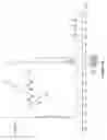 Fig. 22 - Non-ionic and thermoresponsive diblock copolypeptide hydrogels for delivery of molecules and cells