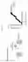 Fig. 08 - Compositions and methods to program therapeutic cells using targeted nucleic acid nanocarriers