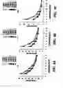 Fig. 09 - Concentrated aqueous silk fibroin solution and use thereof