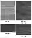 Fig. 35 - STEM CELL COMPOSITIONS, SYSTEMS AND USES THEREOF