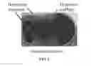Fig. 05 - ANTI-MICROBIAL DEVICE AND METHOD FOR ITS MANUFACTURE