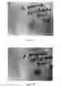Fig. 09 - ANTI-MICROBIAL DEVICE AND METHOD FOR ITS MANUFACTURE