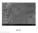 Fig. 16 - ANTI-MICROBIAL DEVICE AND METHOD FOR ITS MANUFACTURE