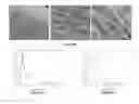 Fig. 06 - Nanofiber structures and methods of synthesis and use thereof