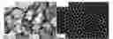 Fig. 01 - Titanium-based functional nano-architectures for drug eluting stents