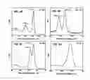 Fig. 05 - Titanium-based functional nano-architectures for drug eluting stents
