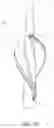 Fig. 09 - Catheter pump assembly including a stator