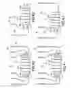 Fig. 50 - SELECTOR VALVE FOR MEDICAL FLUID DELIVERY DEVICE