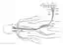 Fig. 01 - DEVICES AND SYSTEMS FOR USE IN BODILY LUMENS