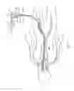Fig. 07 - DEVICES AND SYSTEMS FOR USE IN BODILY LUMENS