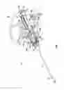Fig. 02 - Device and method for single-handed access and insertion of an article
