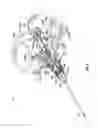 Fig. 09 - Device and method for single-handed access and insertion of an article