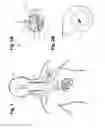 Fig. 02 - Implantable neurostimulator—implemented method for enhancing post-exercise recovery through vagus nerve stimulation