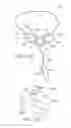 Fig. 22 - Apparatus and Methods for Charging an Implanted Medical Device Power Source