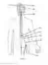 Fig. 07 - Systems and methods for spasticity treatment using spinal nerve magnetic stimulation