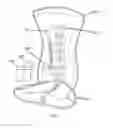 Fig. 09 - Systems and methods for spasticity treatment using spinal nerve magnetic stimulation