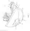 Fig. 02 - Mouth guard with breathing and drinking aperture