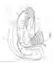 Fig. 03 - Mouth guard with breathing and drinking aperture