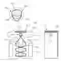 Fig. 01 - TORSO PROTECTOR DEVICE FOR MARTIAL ARTS