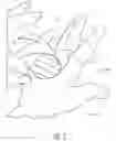 Fig. 07 - Apparatus for hand protection and method thereof