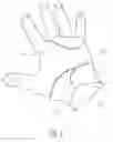 Fig. 09 - Apparatus for hand protection and method thereof