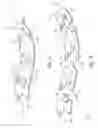 Fig. 02 - PUZZLE MESSAGE