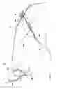Fig. 02 - Folding Kite and Launcher System