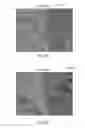 Fig. 12 - METHOD FOR MAKING TWO-DIMENSIONAL MATERIALS AND COMPOSITE MEMBRANES THEREOF HAVING SIZE-SELECTIVE PERFORATIONS