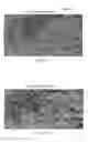 Fig. 13 - METHOD FOR MAKING TWO-DIMENSIONAL MATERIALS AND COMPOSITE MEMBRANES THEREOF HAVING SIZE-SELECTIVE PERFORATIONS