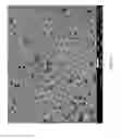 Fig. 04 - Two-dimensional membrane structures having flow passages